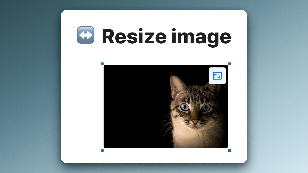 Documate August 2024: External content & Aspect ratio improvements
